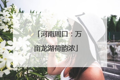 河南周口：万亩龙湖荷韵浓