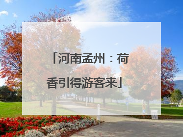 河南孟州：荷香引得游客来