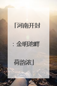 河南开封：金明池畔荷韵浓