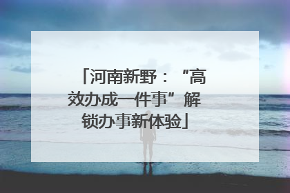 河南新野：“高效办成一件事”解锁办事新体验