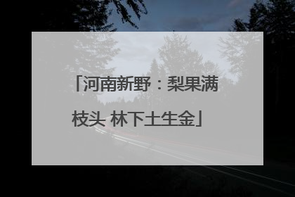 河南新野：梨果满枝头 林下土生金