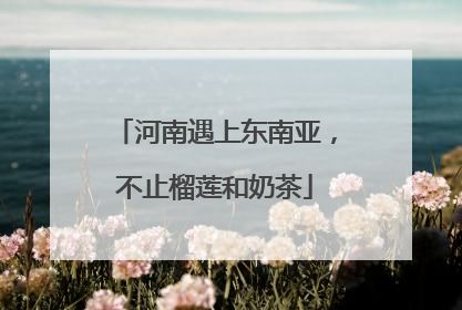 河南遇上东南亚，不止榴莲和奶茶