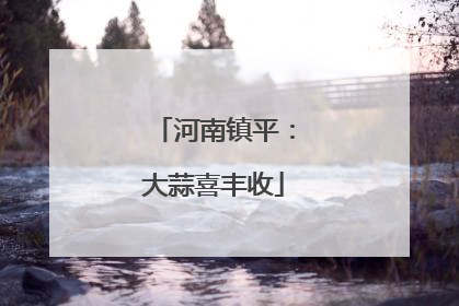 河南镇平：大蒜喜丰收