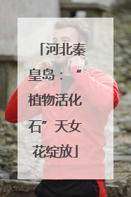 河北秦皇岛：“植物活化石”天女花绽放