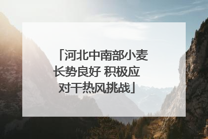 河北中南部小麦长势良好 积极应对干热风挑战