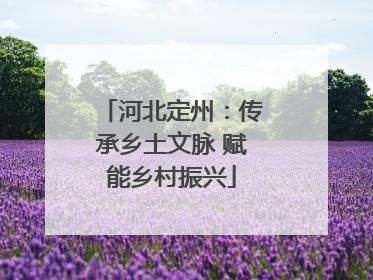 河北定州：传承乡土文脉 赋能乡村振兴