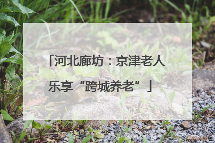 河北廊坊：京津老人乐享“跨城养老”