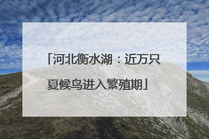 河北衡水湖：近万只夏候鸟进入繁殖期