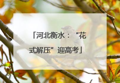 河北衡水：“花式解压”迎高考