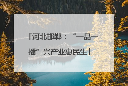 河北邯郸：“一品一播”兴产业惠民生