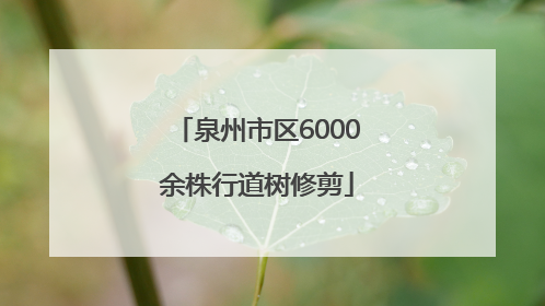 泉州市区6000余株行道树修剪
