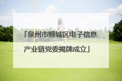 泉州市鲤城区电子信息产业链党委揭牌成立