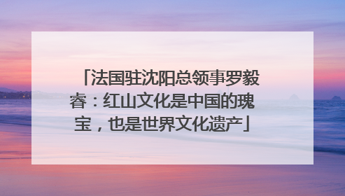 法国驻沈阳总领事罗毅睿：红山文化是中国的瑰宝，也是世界文化遗产