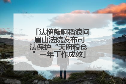 法槌敲响稻浪间 眉山法院发布司法保护“天府粮仓”三年工作成效