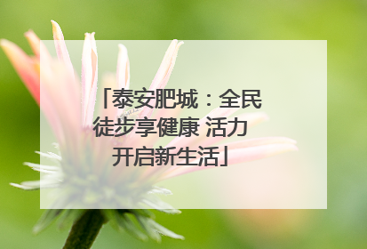 泰安肥城：全民徒步享健康 活力开启新生活