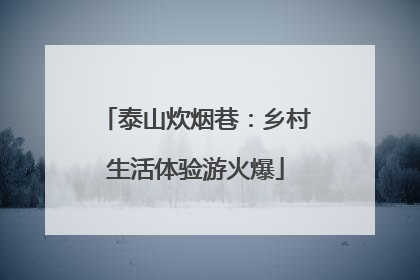 泰山炊烟巷：乡村生活体验游火爆