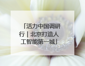 活力中国调研行｜北京打造人工智能第一城