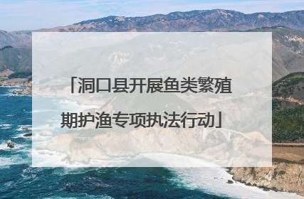 洞口县开展鱼类繁殖期护渔专项执法行动