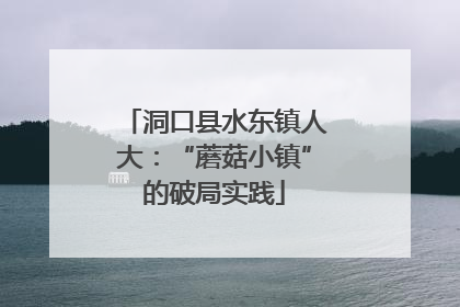 洞口县水东镇人大：“蘑菇小镇”的破局实践