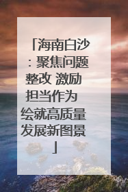 海南白沙：聚焦问题整改 激励担当作为 绘就高质量发展新图景