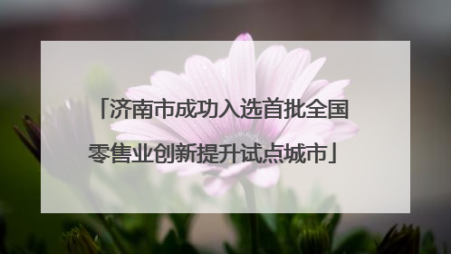 济南市成功入选首批全国零售业创新提升试点城市
