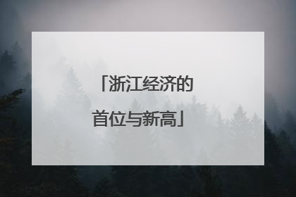 浙江经济的首位与新高
