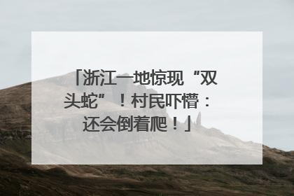 浙江一地惊现“双头蛇”！村民吓懵：还会倒着爬！