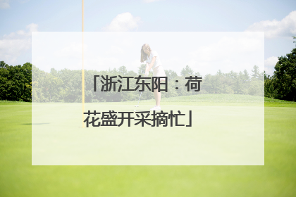 浙江东阳：荷花盛开采摘忙