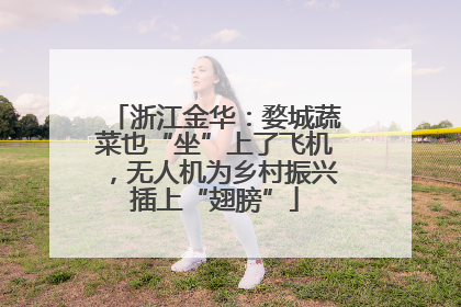 浙江金华：婺城蔬菜也“坐”上了飞机，无人机为乡村振兴插上“翅膀”