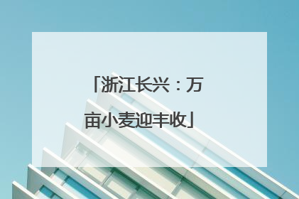 浙江长兴：万亩小麦迎丰收