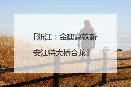 浙江：金建高铁新安江特大桥合龙