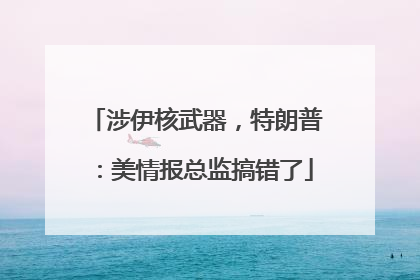 涉伊核武器，特朗普：美情报总监搞错了