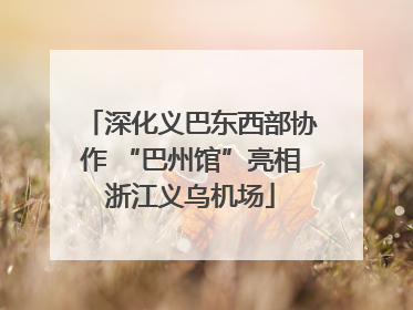 深化义巴东西部协作 “巴州馆”亮相浙江义乌机场