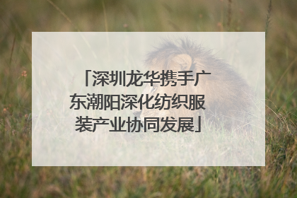 深圳龙华携手广东潮阳深化纺织服装产业协同发展