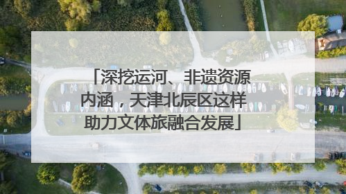 深挖运河、非遗资源内涵，天津北辰区这样助力文体旅融合发展