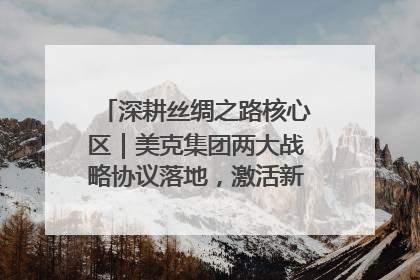 深耕丝绸之路核心区｜美克集团两大战略协议落地，激活新疆开放新动能