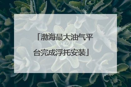 渤海最大油气平台完成浮托安装
