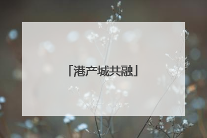 港产城共融