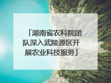 湖南省农科院团队深入武陵源区开展农业科技服务