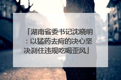 湖南省委书记沈晓明：以猛药去疴的决心坚决刹住违规吃喝歪风
