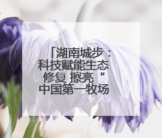 湖南城步：科技赋能生态修复 擦亮“中国第一牧场”金字招牌