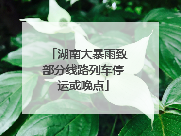 湖南大暴雨致部分线路列车停运或晚点