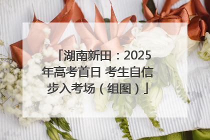 湖南新田：2025年高考首日 考生自信步入考场（组图）