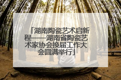 湖南陶瓷艺术启新程——湖南省陶瓷艺术家协会换届工作大会圆满举行