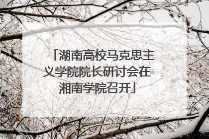 湖南高校马克思主义学院院长研讨会在湘南学院召开