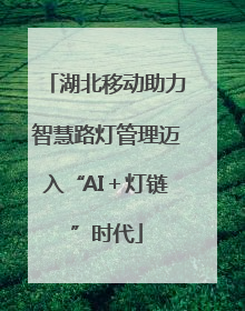 湖北移动助力智慧路灯管理迈入“AI＋灯链”时代