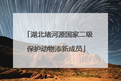 湖北堵河源国家二级保护动物添新成员