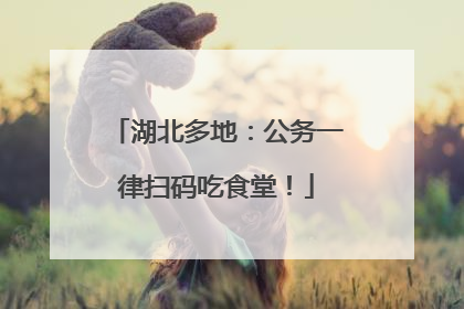 湖北多地：公务一律扫码吃食堂！