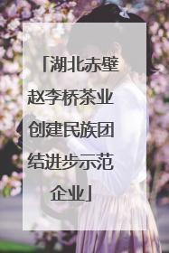 湖北赤壁赵李桥茶业创建民族团结进步示范企业