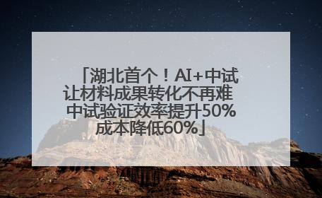 湖北首个！AI+中试让材料成果转化不再难 中试验证效率提升50%成本降低60%